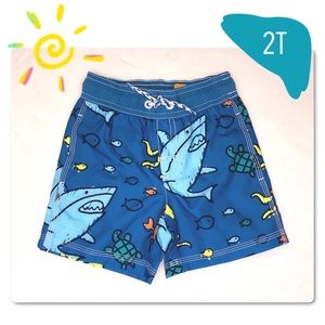 NEW Gymboree Shark Print Blue Swim Trunks Boys Size 2T